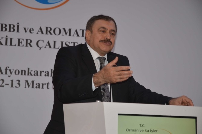 Bakan Eroğlu, ’Tıbbi Ve Aromatik Bitkiler Çalıştayı’na Katıldı