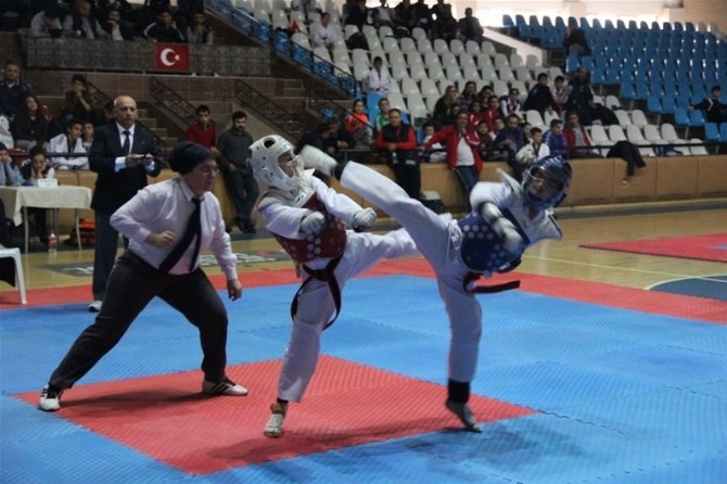 Erzincan’da Taekwondo Heyecanı