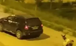 Eşeği Sürükleyen Sürücüye Ceza Kesildi