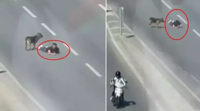 Ana yolun sağ şeridinde sürünerek ilerledi