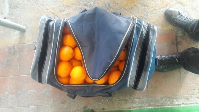 Şüpheli Çantadan Portakal Çıktı
