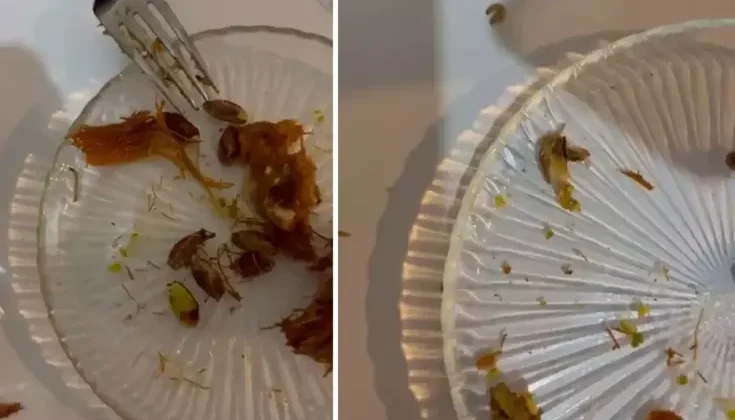 Ünlü şekerleme ve helva zincirinin tatlısından çok sayıda kurt çıktı