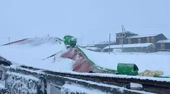 Kars’ta biriken kar nedeniyle çöken iki ahırdaki 4 büyükbaş hayvan telef oldu