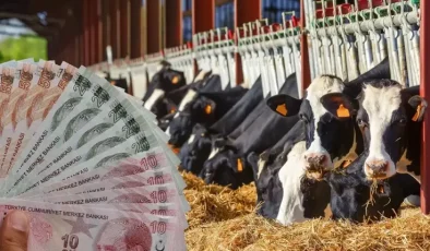 TÜİK verileri ile ortaya çıktı: İşte en çok büyükbaş hayvanın olduğu ilimiz