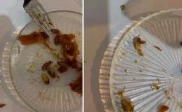 Ünlü şekerleme ve helva zincirinin tatlısından çok sayıda kurt çıktı