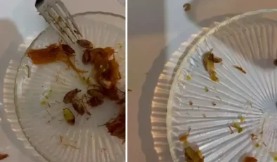 Ünlü şekerleme ve helva zincirinin tatlısından çok sayıda kurt çıktı
